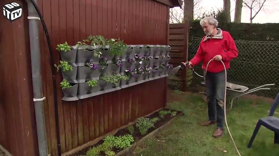UN JARDIN SUR LE MUR?