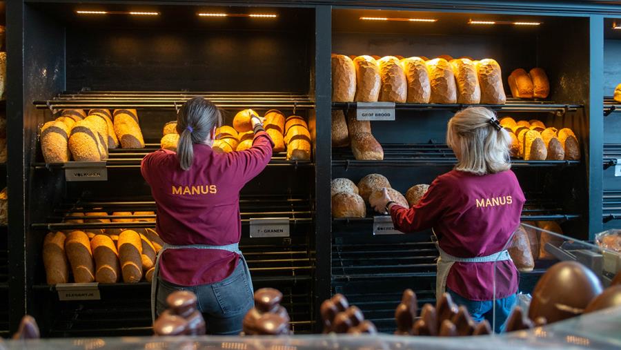 UNE POUDRE COMME AMÉLIORANT DE PANIFICATION POUR LA BOULANGERIE MANUS