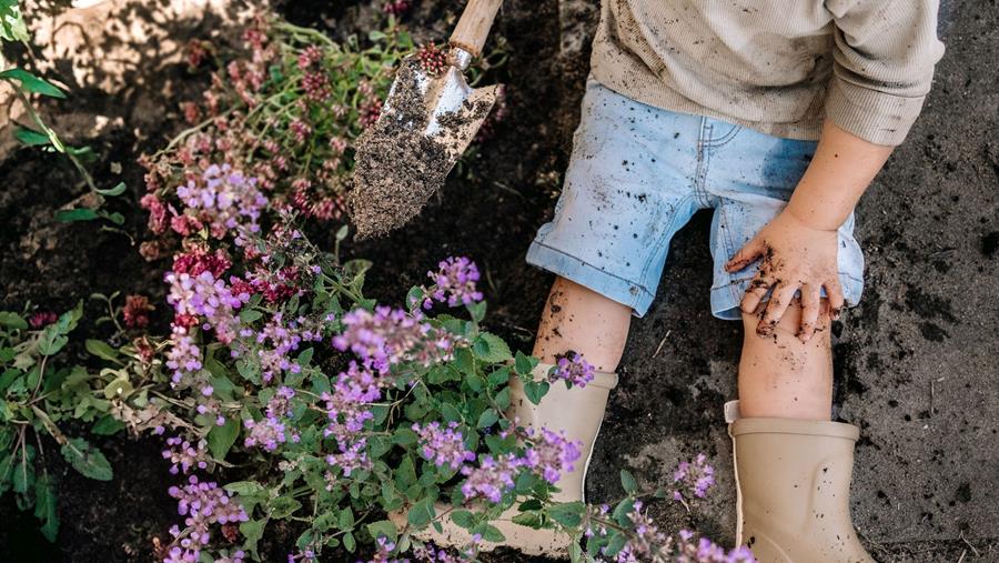 Evergreen Garden Care omarmt trend naar natuurlijke oplossingen