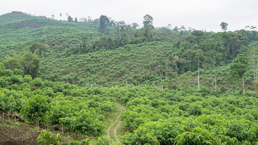 STAEDTLER wordt lid van het UN Global Compact