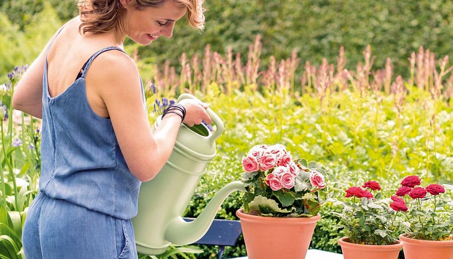 Toekomstgerichte powermerken